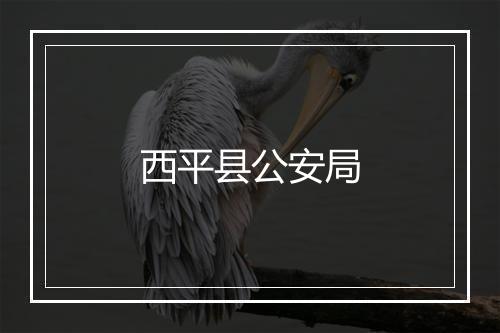 西平县公安局