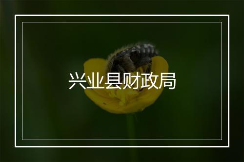 兴业县财政局