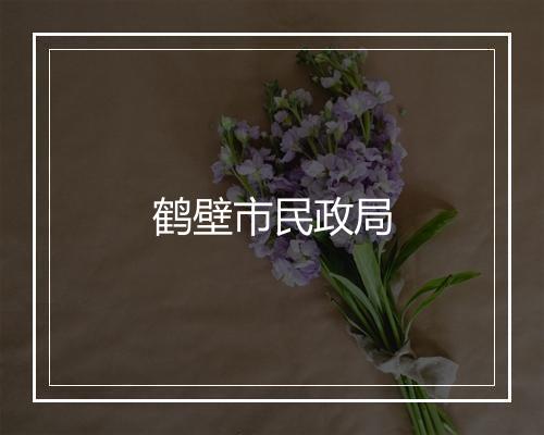 鹤壁市民政局