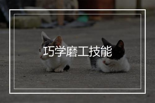 巧学磨工技能