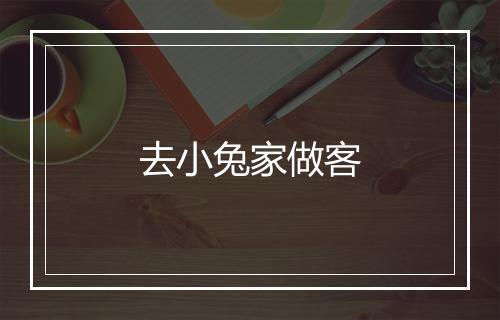 去小兔家做客