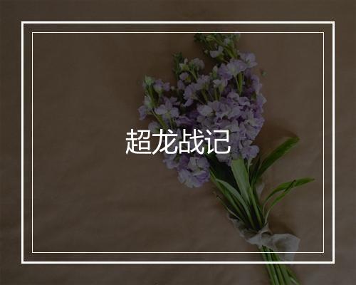 超龙战记