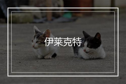 伊莱克特