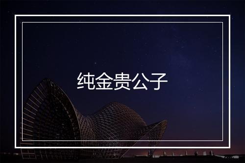 纯金贵公子