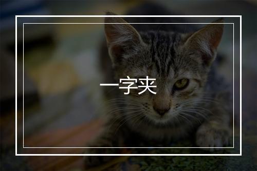 一字夹