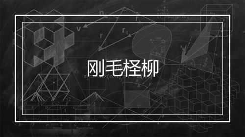 刚毛柽柳