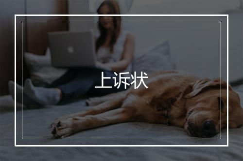 上诉状