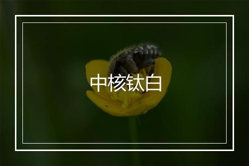 中核钛白