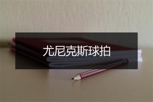 尤尼克斯球拍