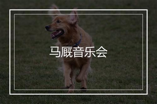 马厩音乐会