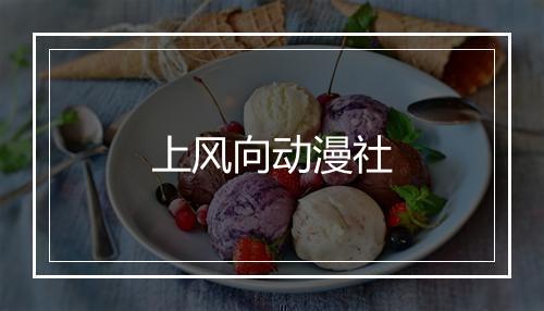 上风向动漫社