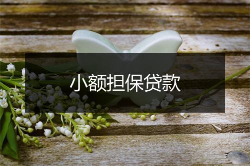 小额担保贷款