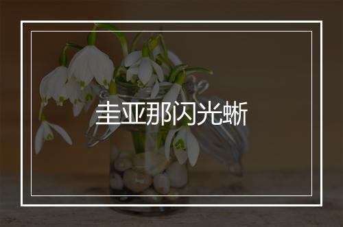 圭亚那闪光蜥