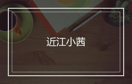 近江小茜