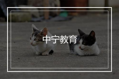 中宁教育