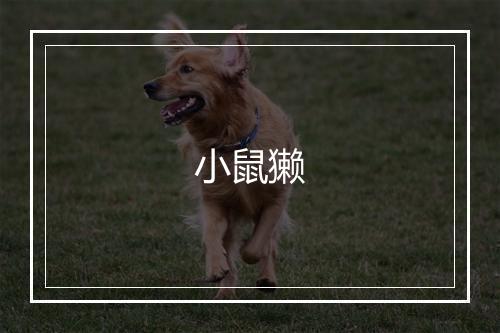 小鼠獭