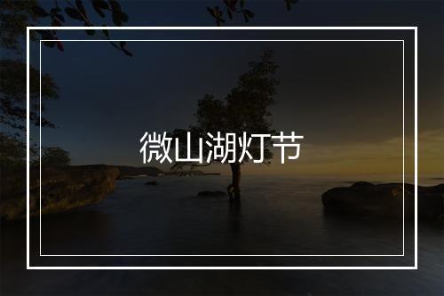 微山湖灯节