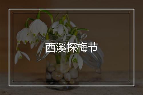 西溪探梅节