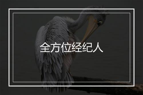 全方位经纪人