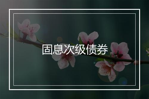 固息次级债券