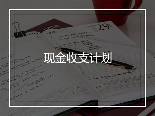 现金收支计划