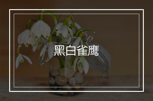 黑白雀鹰