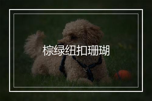 棕绿纽扣珊瑚