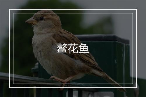 鳌花鱼