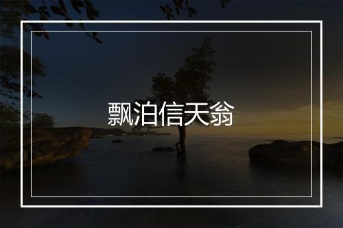 飘泊信天翁