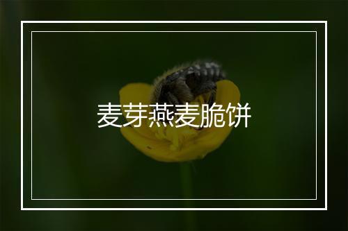 麦芽燕麦脆饼