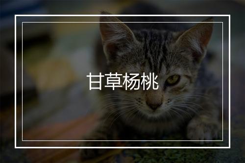 甘草杨桃