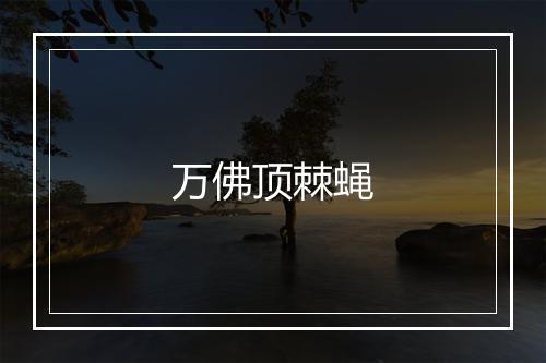 万佛顶棘蝇