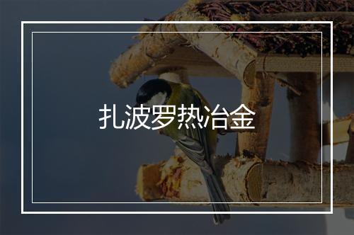 扎波罗热冶金