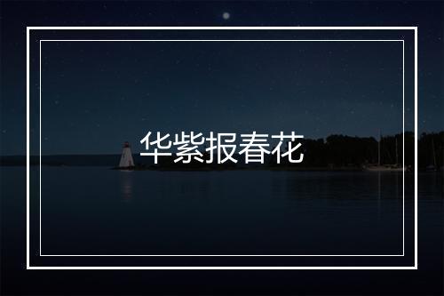 华紫报春花