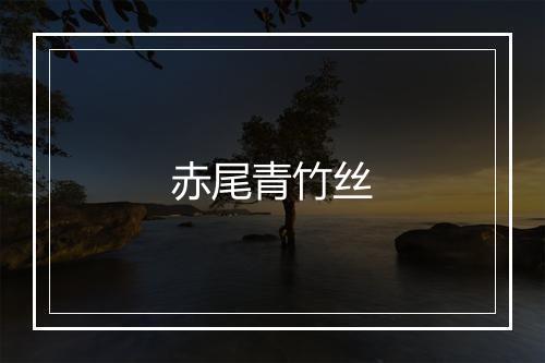 赤尾青竹丝