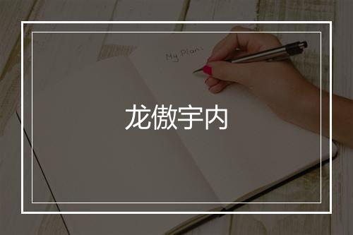 龙傲宇内