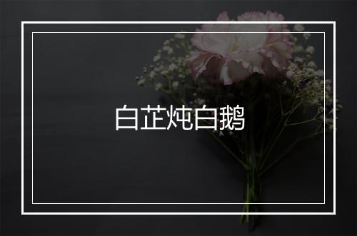 白芷炖白鹅