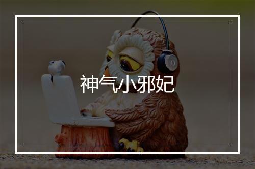 神气小邪妃