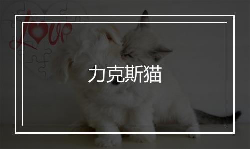 力克斯猫