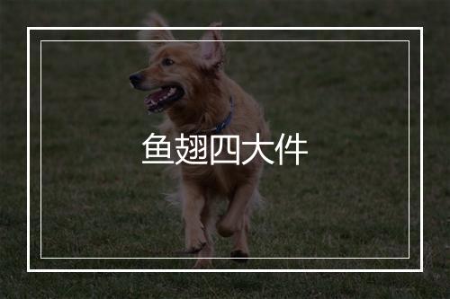 鱼翅四大件