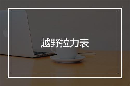 越野拉力表