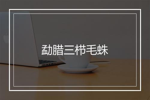 勐腊三栉毛蛛