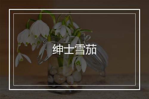 绅士雪茄