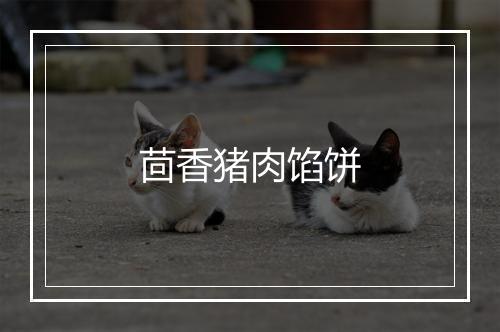 茴香猪肉馅饼