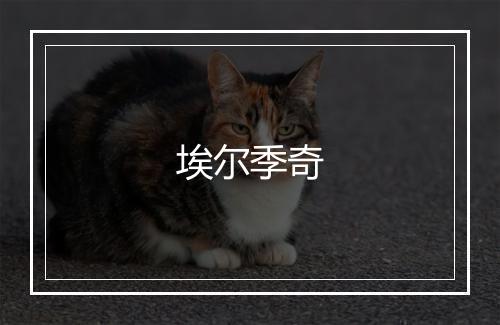 埃尔季奇