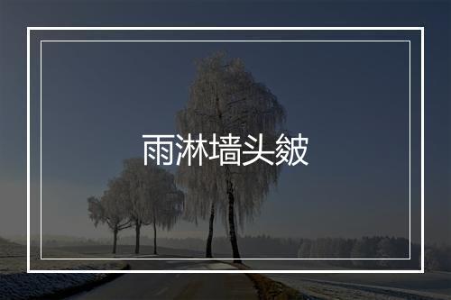 雨淋墙头皴