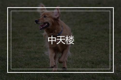 中天楼