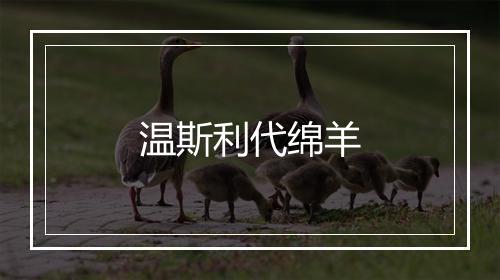 温斯利代绵羊