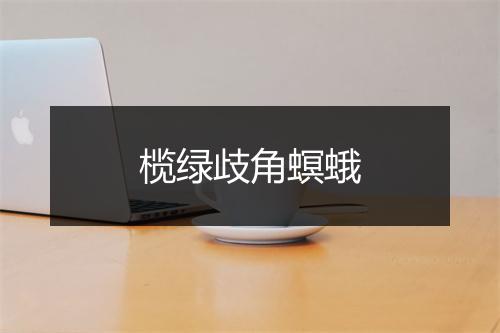 榄绿歧角螟蛾