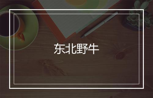 东北野牛